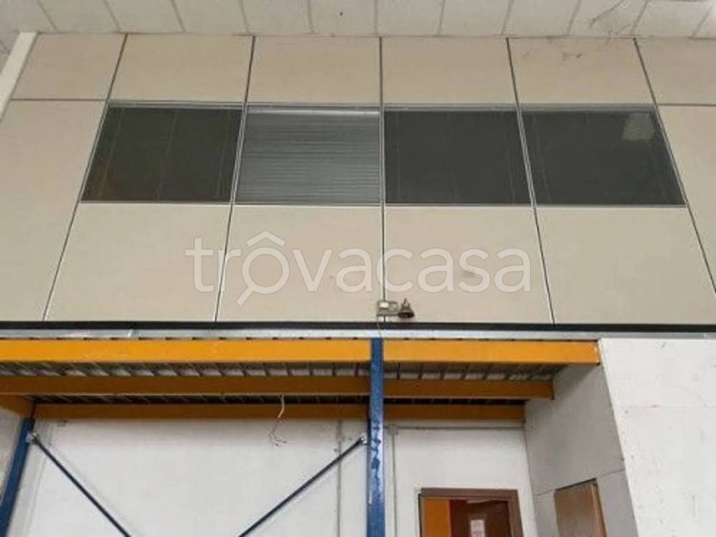 immagine annuncio 9 di 14