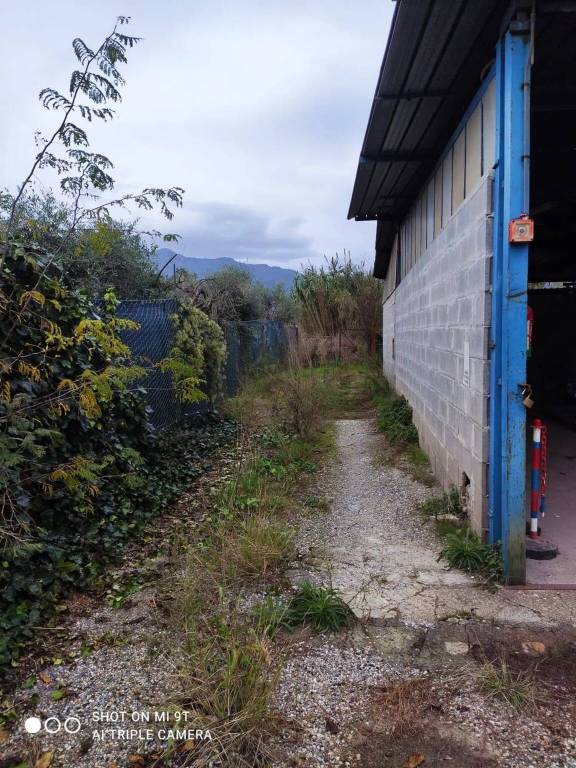 immagine annuncio 3 di 11