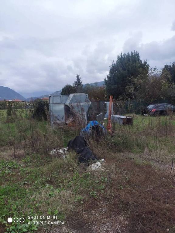 immagine annuncio 7 di 11