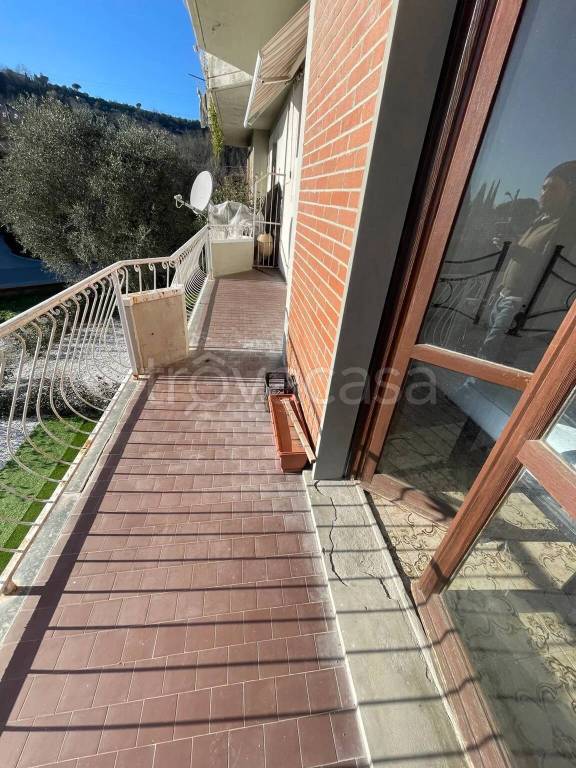 immagine annuncio 11 di 14