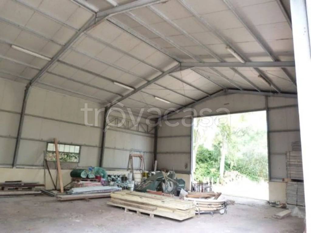 immagine annuncio 2 di 9