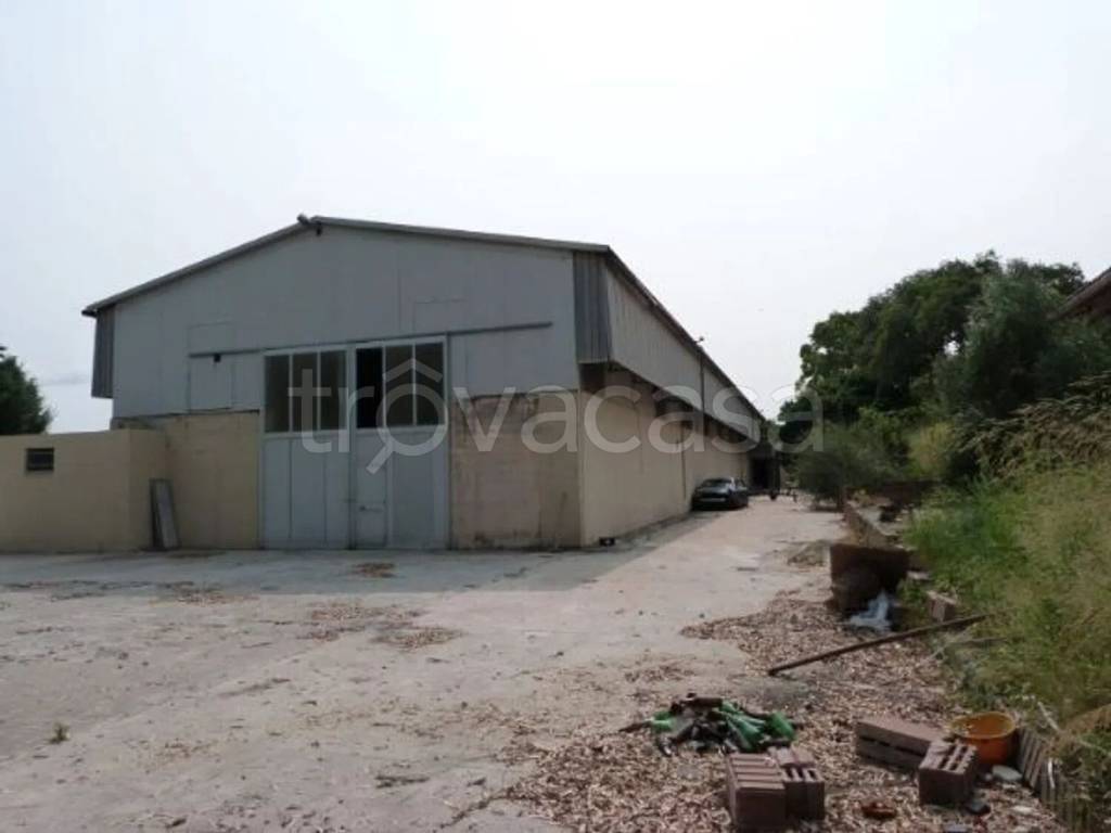 immagine annuncio 6 di 9