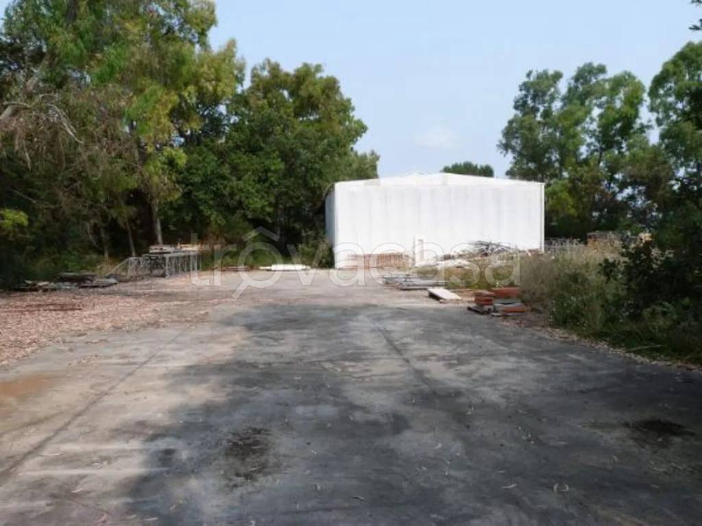 immagine annuncio 7 di 9