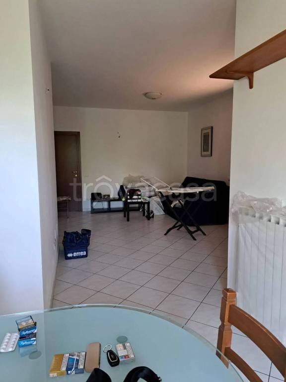 immagine annuncio 5 di 12