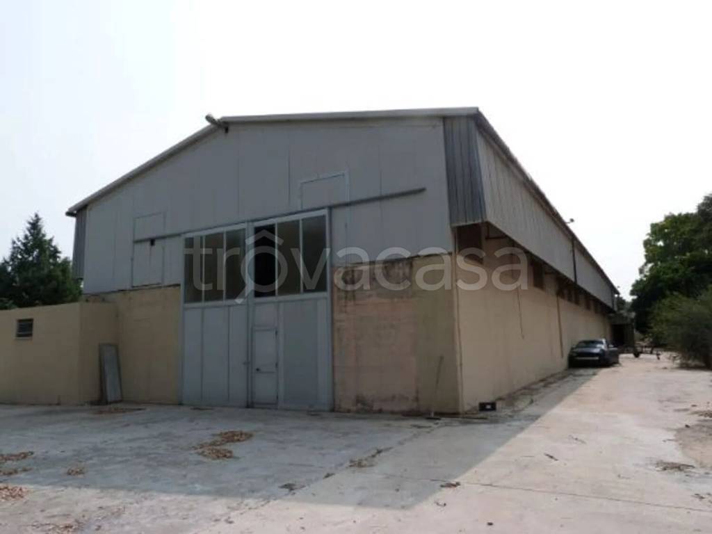 immagine annuncio 1 di 9