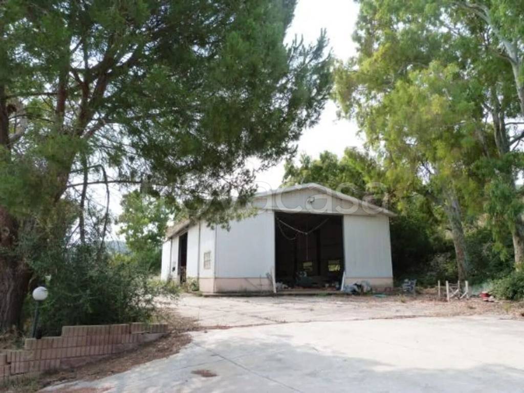 immagine annuncio 3 di 9