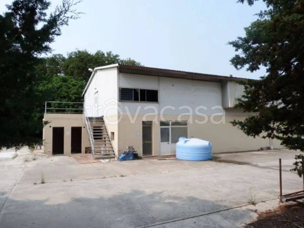 immagine annuncio 4 di 9