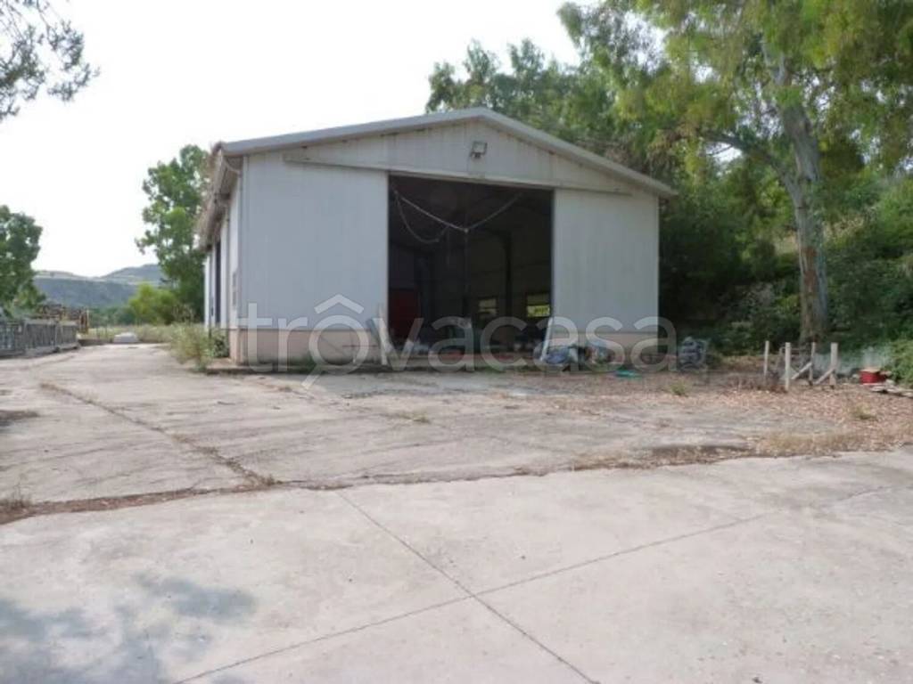 immagine annuncio 5 di 9