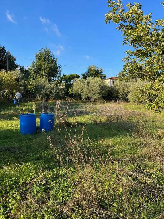 immagine annuncio 10 di 15