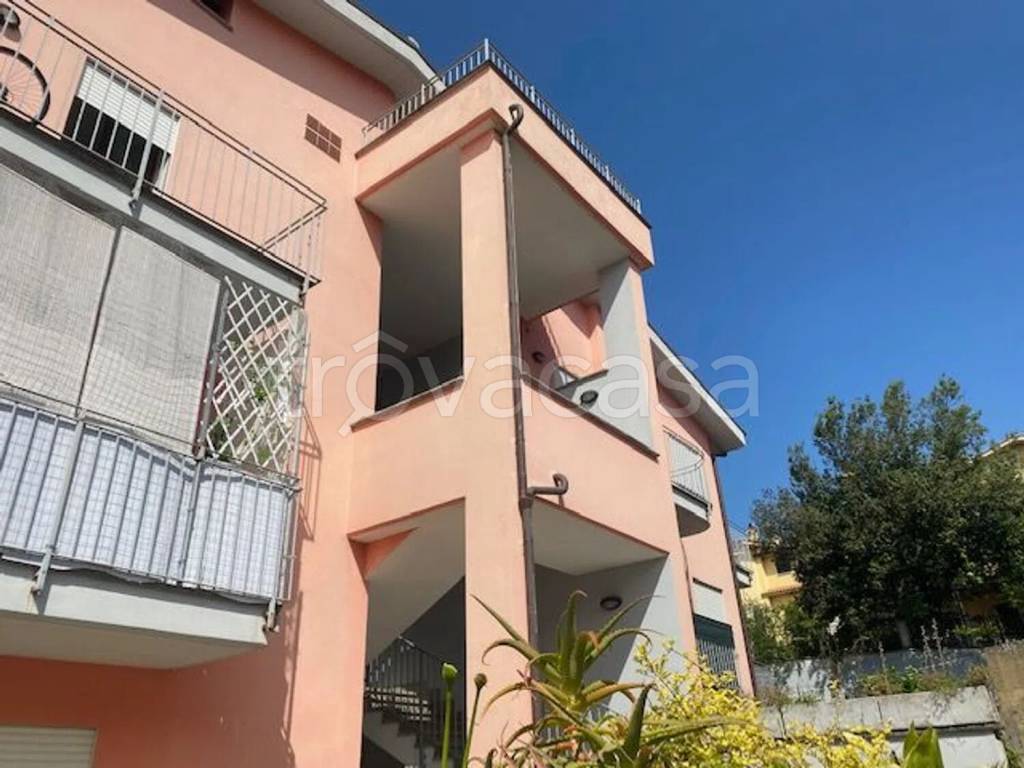 immagine annuncio 2 di 4