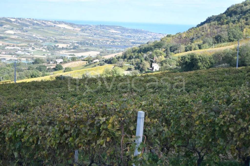 immagine annuncio 6 di 12