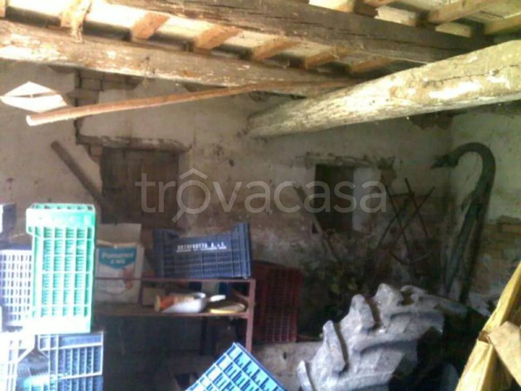 immagine annuncio 4 di 14