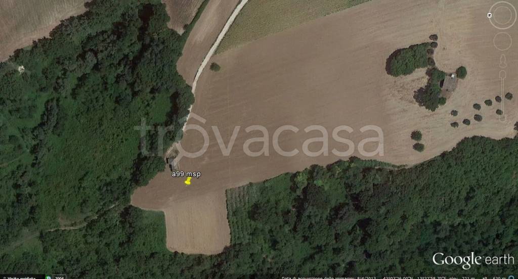 immagine annuncio 5 di 14