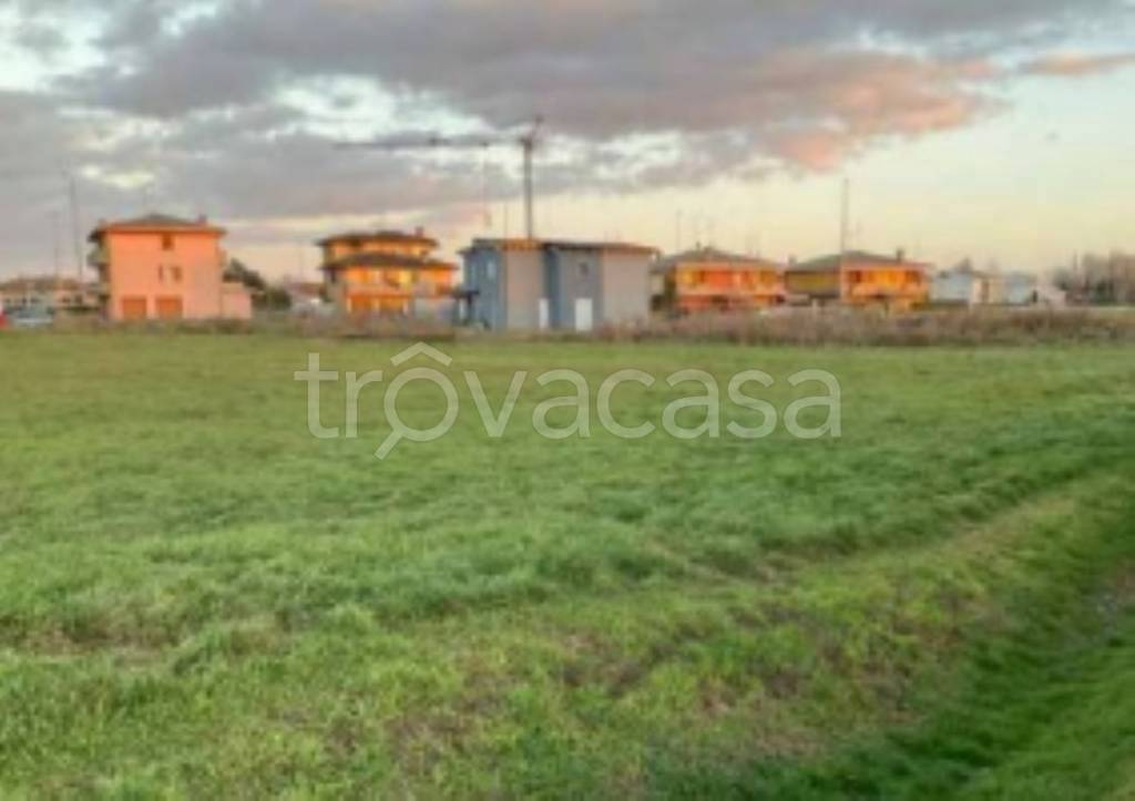 immagine annuncio 1 di 9