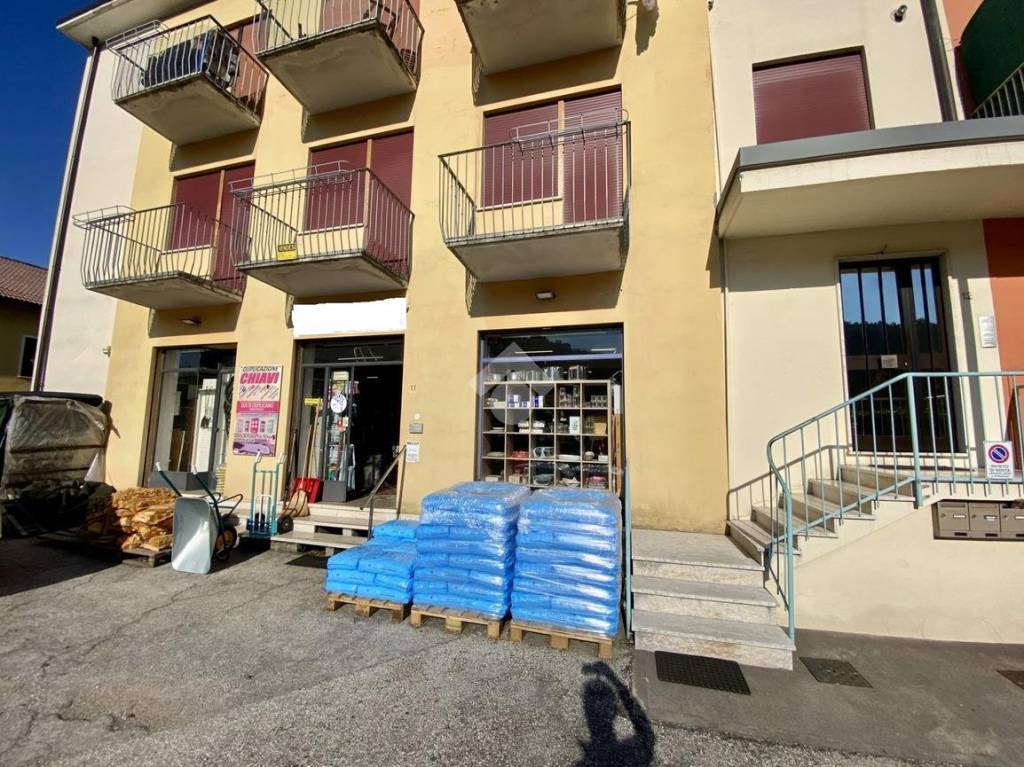 immagine annuncio 2 di 14