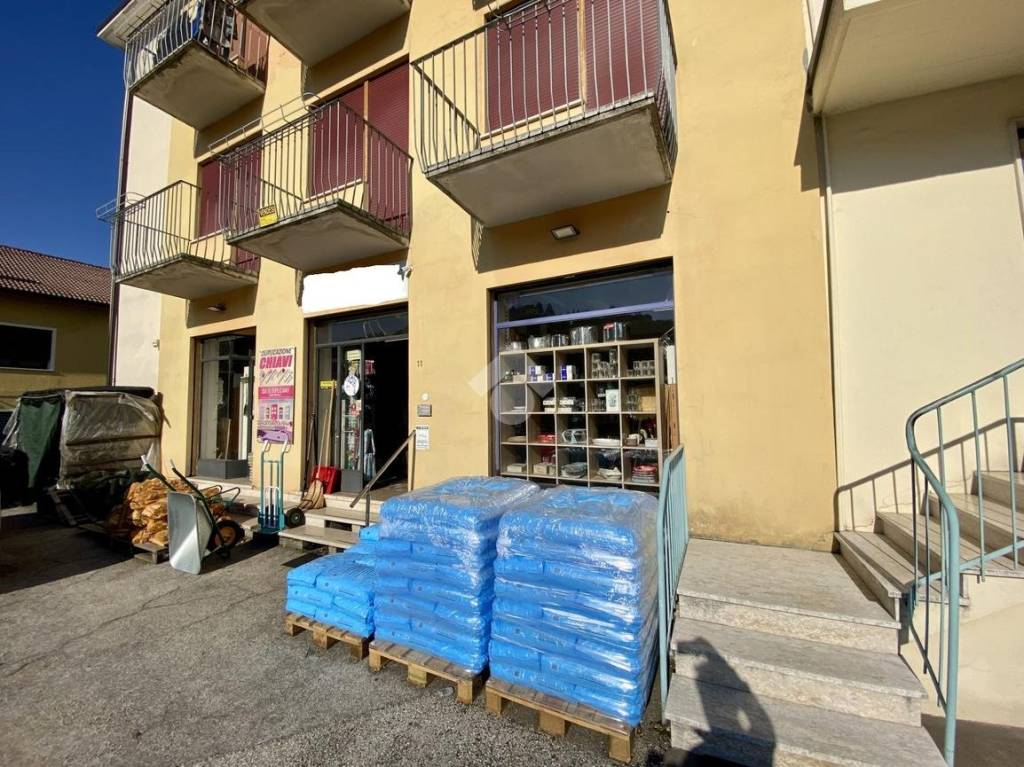 immagine annuncio 1 di 14