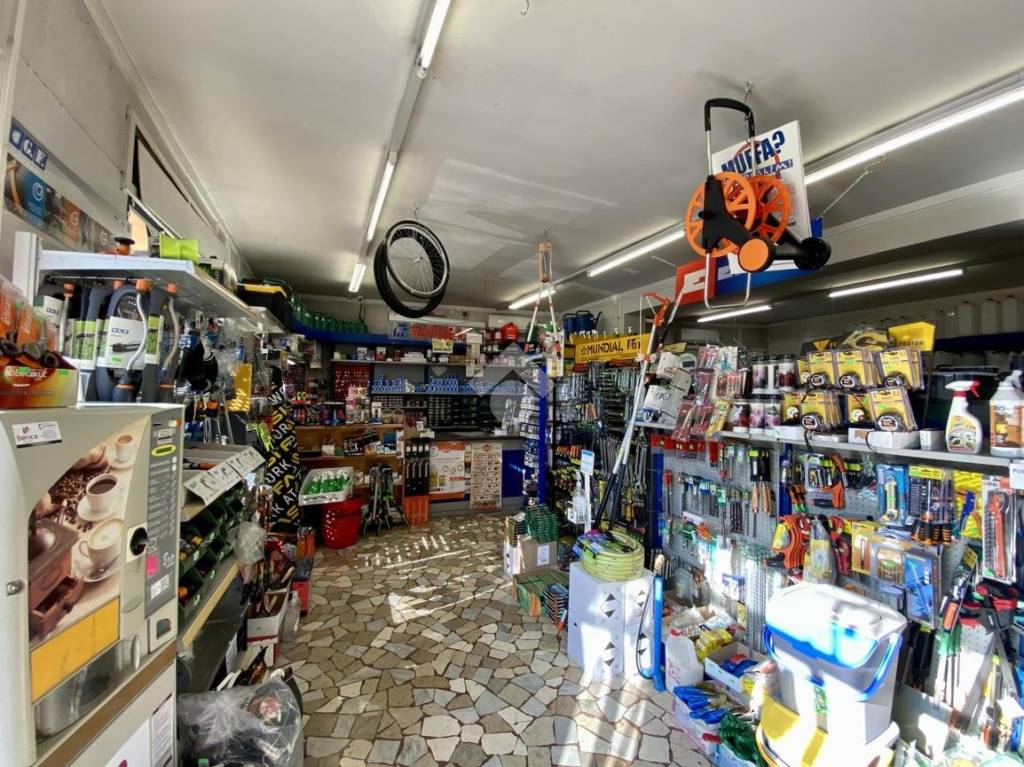 immagine annuncio 2 di 14