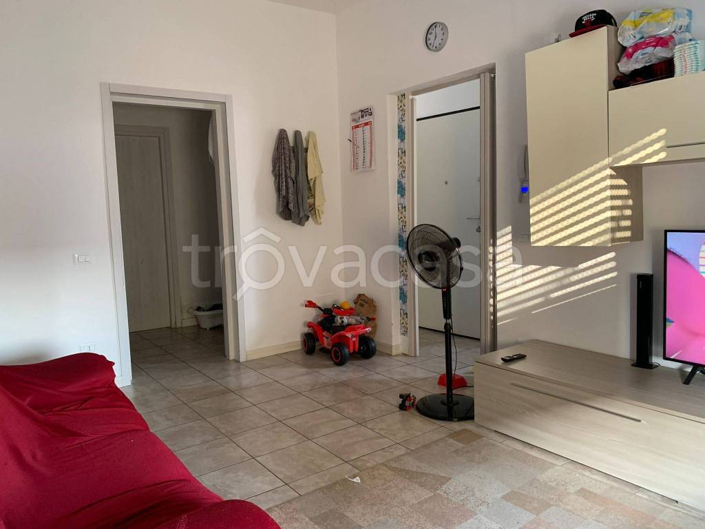 immagine annuncio 4 di 8