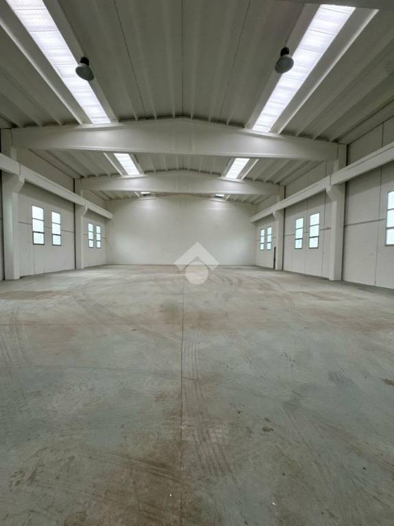 immagine annuncio 4 di 8