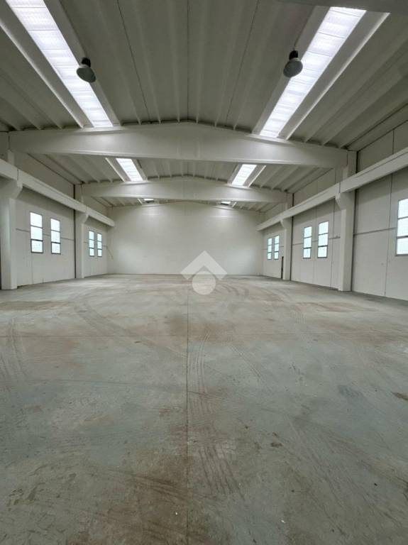 immagine annuncio 6 di 8