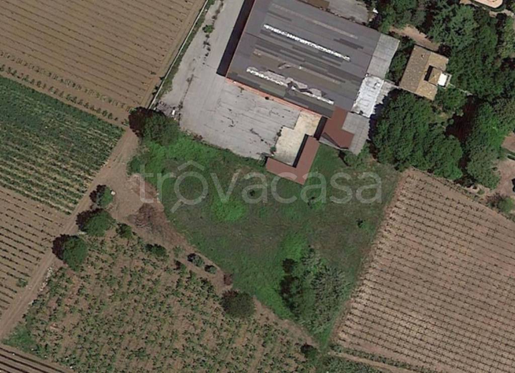 immagine annuncio 7 di 14