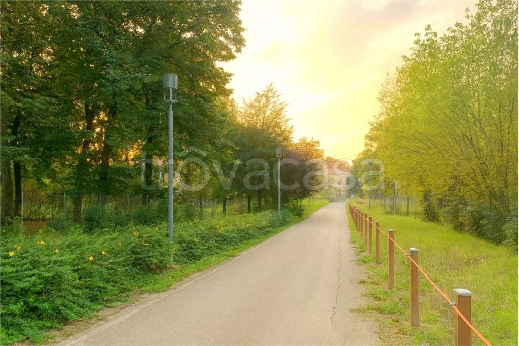 immagine annuncio 13 di 14