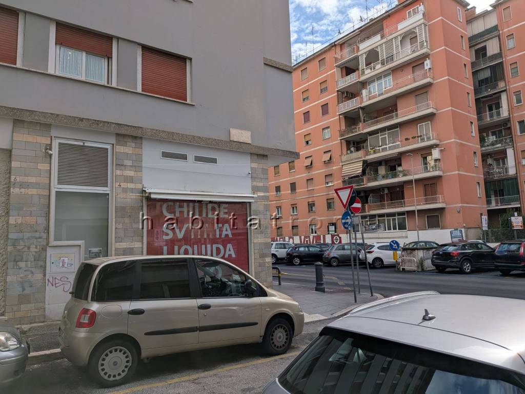 immagine annuncio 4 di 12