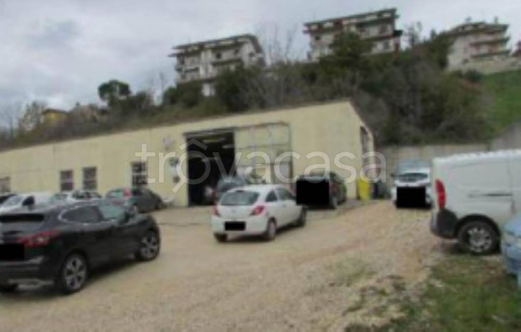 immagine annuncio 5 di 11