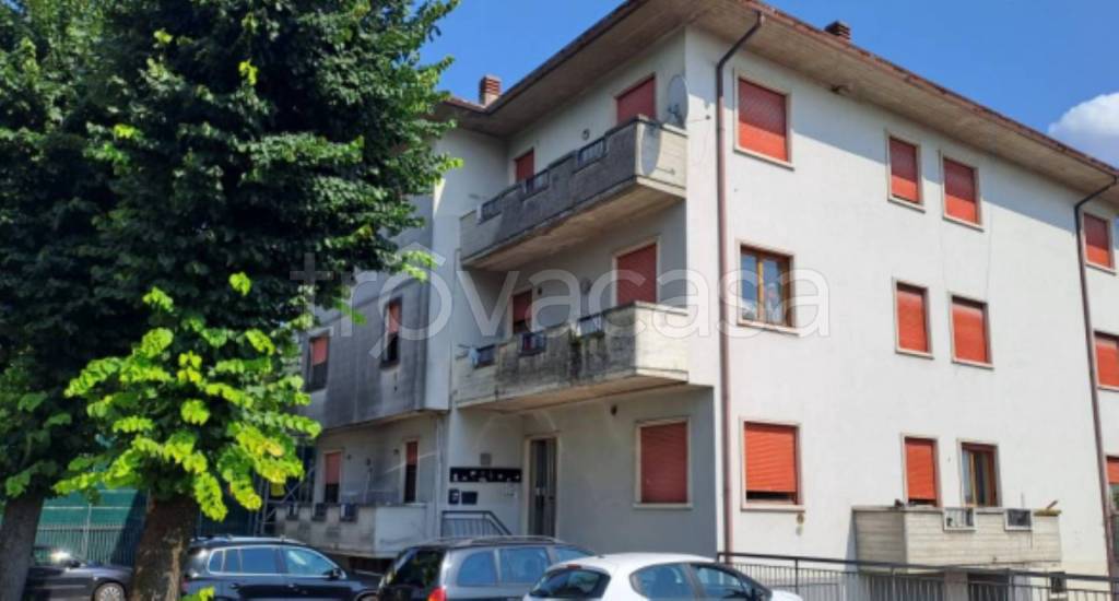 immagine annuncio 2 di 14