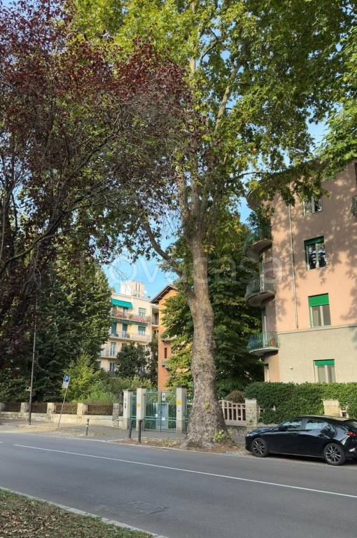 immagine annuncio 10 di 12