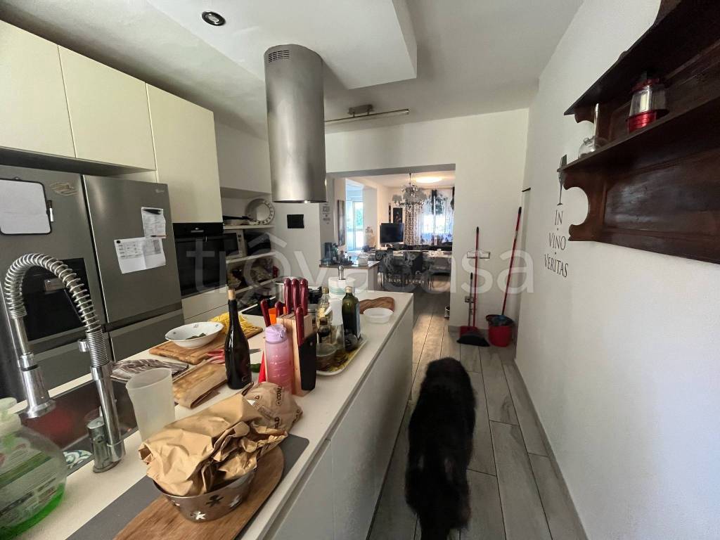 immagine annuncio 3 di 14