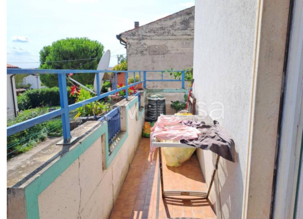 immagine annuncio 11 di 14