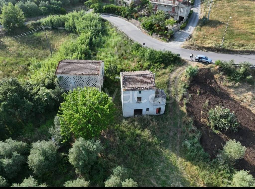 immagine annuncio 2 di 6