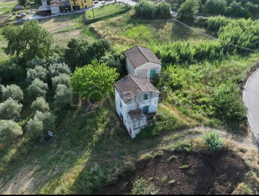 immagine annuncio 4 di 6