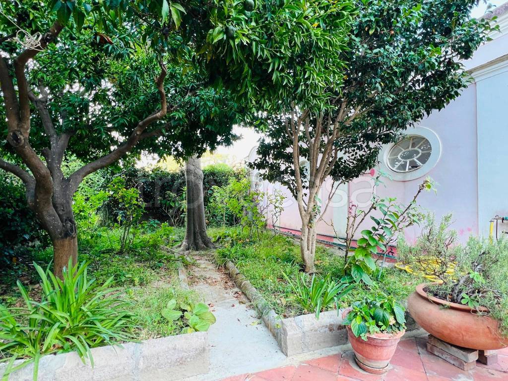 immagine annuncio 1 di 6