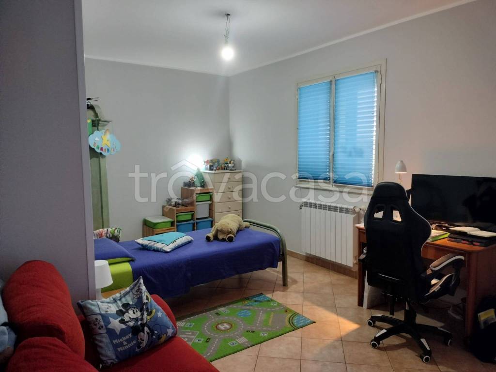 immagine annuncio 5 di 13
