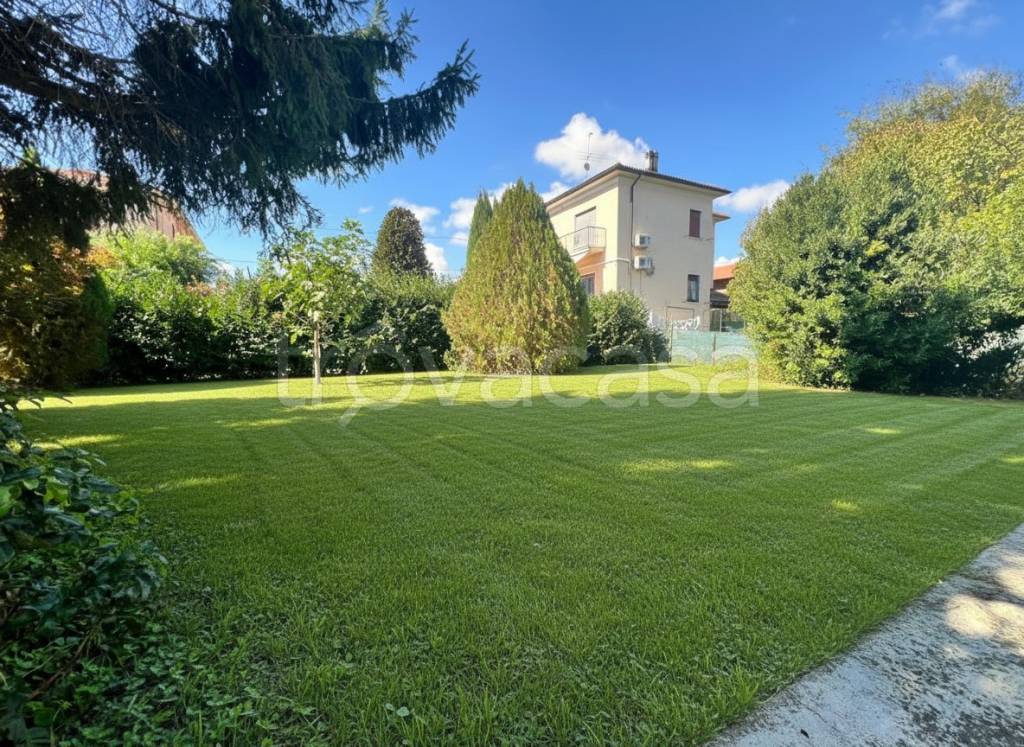 immagine annuncio 3 di 14