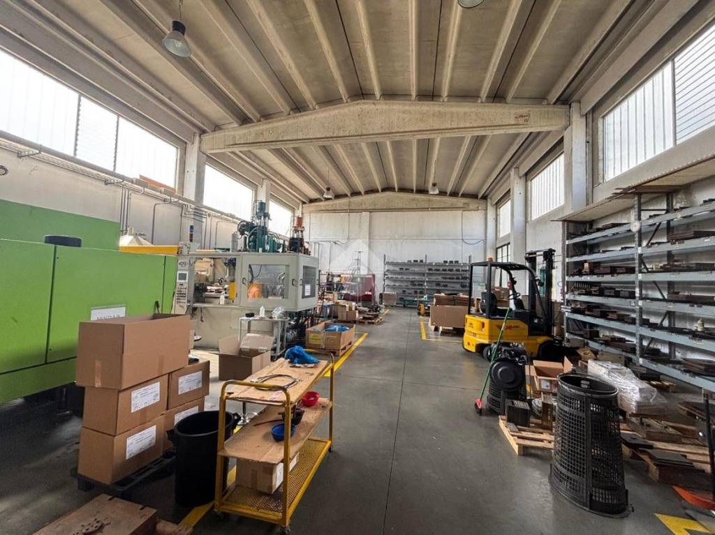 immagine annuncio 2 di 15