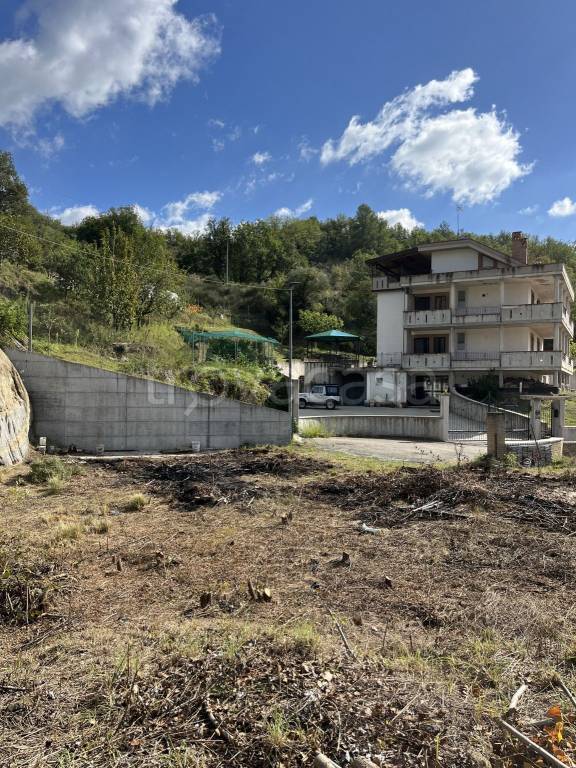 immagine annuncio 1 di 7
