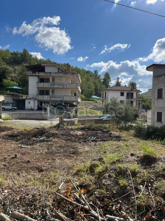 immagine annuncio 2 di 7