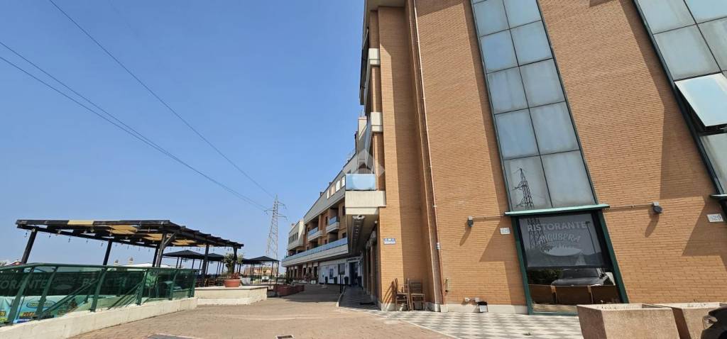 immagine annuncio 7 di 14