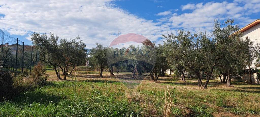 immagine annuncio 3 di 6