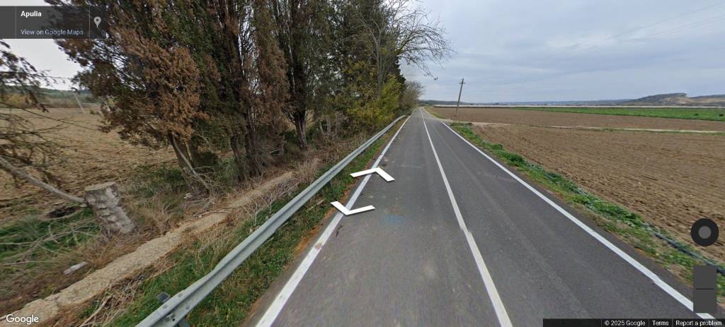 immagine annuncio 6 di 14