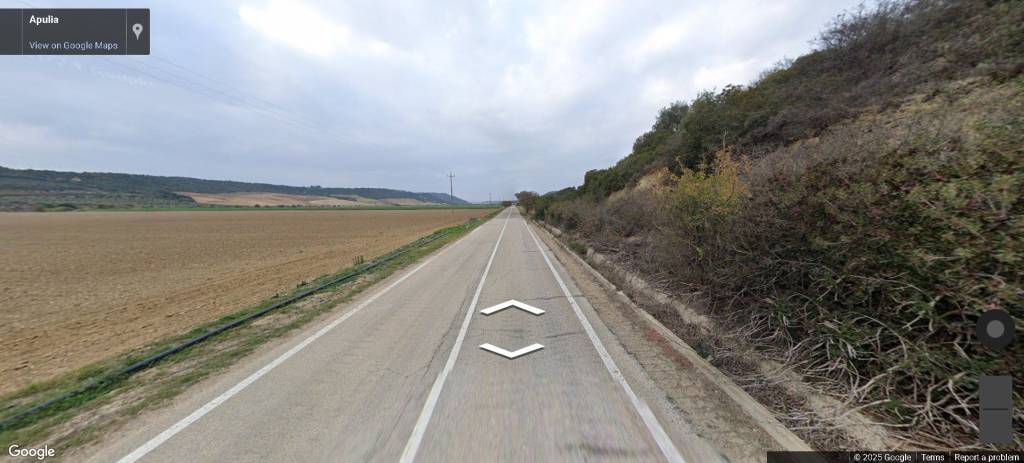 immagine annuncio 10 di 14
