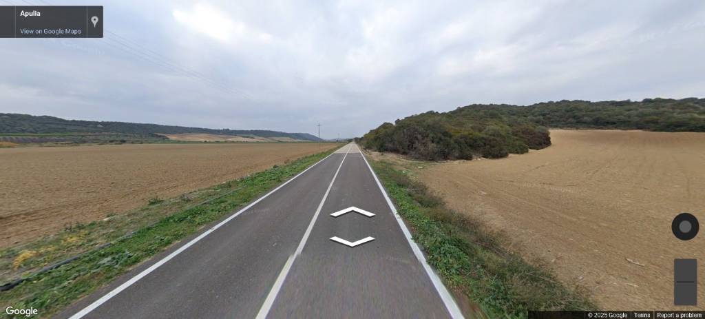 immagine annuncio 11 di 14
