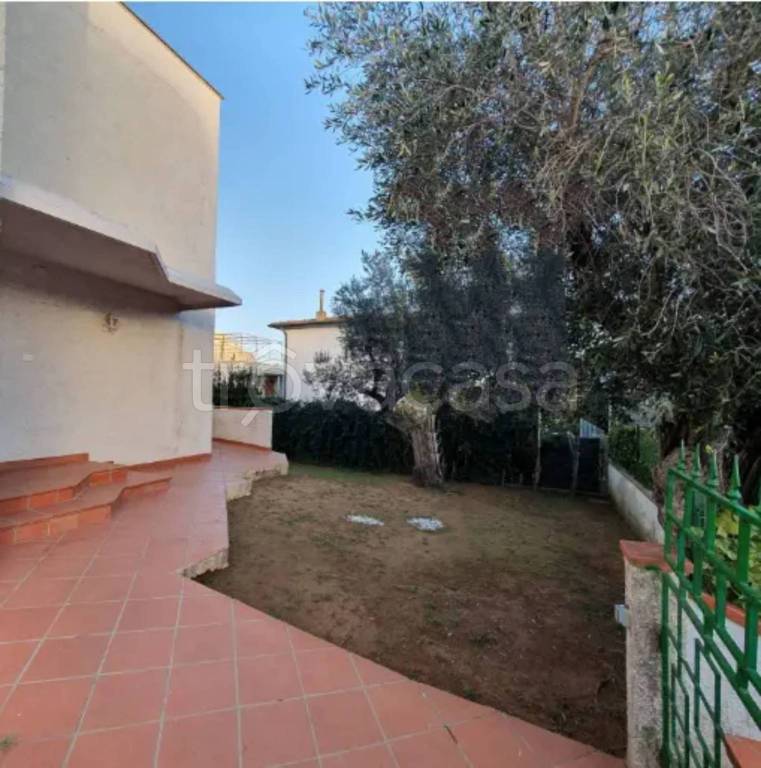 immagine annuncio 7 di 12