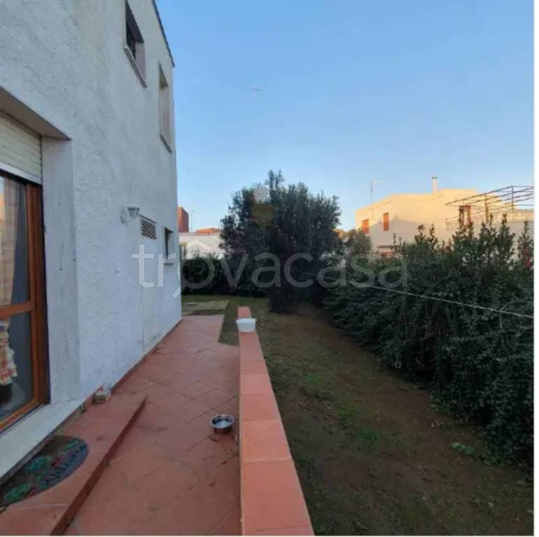 immagine annuncio 9 di 12