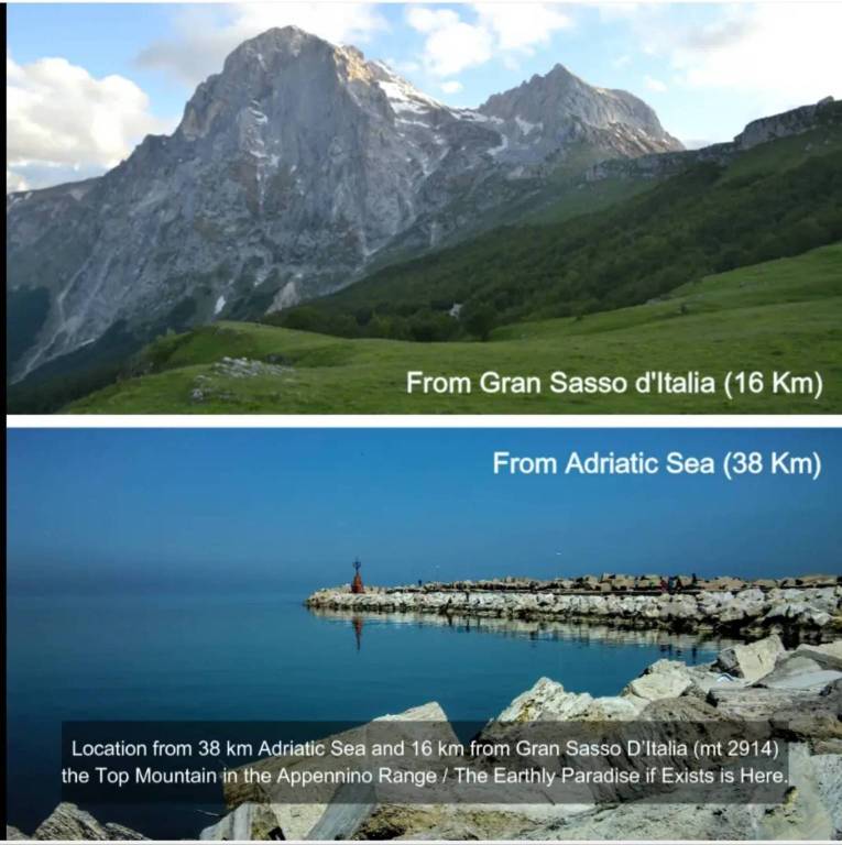 immagine annuncio 5 di 8