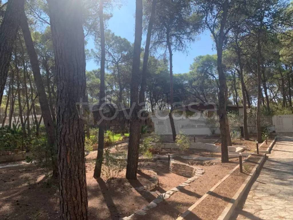 immagine annuncio 6 di 14