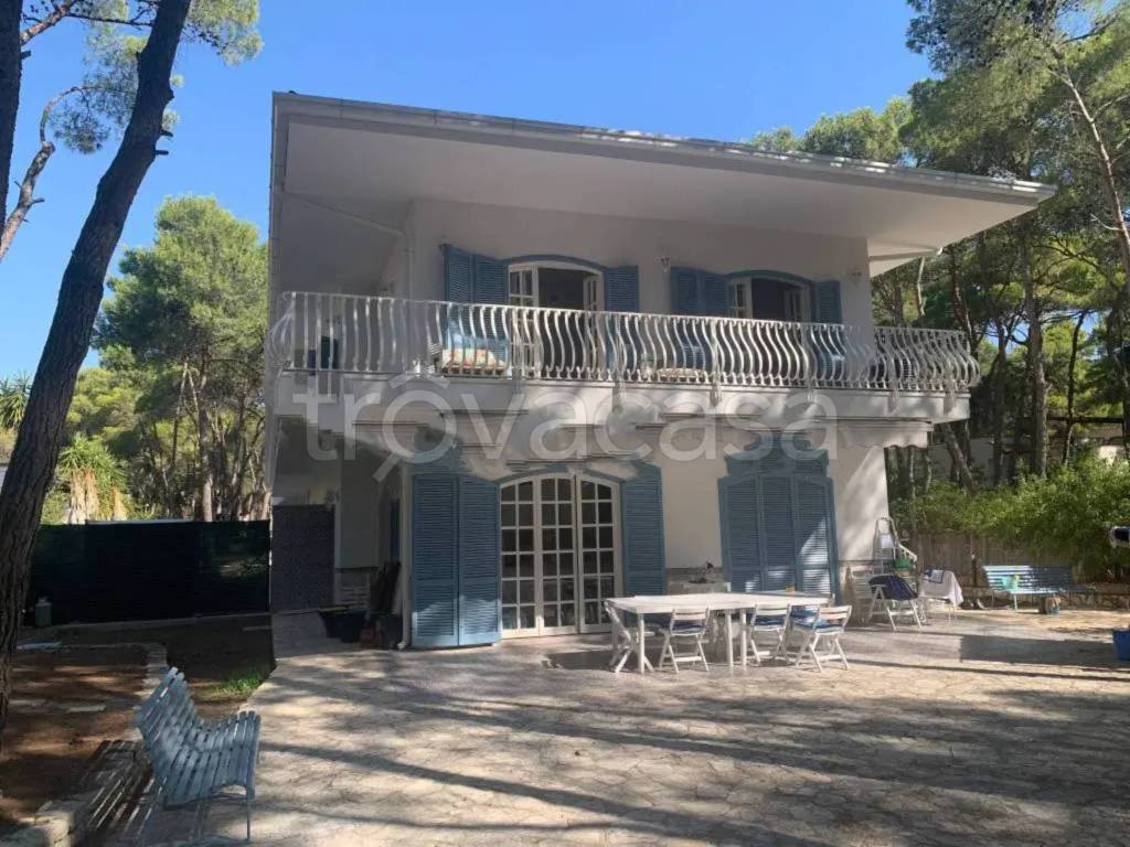 immagine annuncio 7 di 14